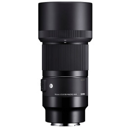 Sigma 70mm F2.8 DG MACRO ART (e-mount)