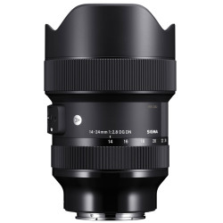 Sigma 14-24mm F2.8 DG DN ART - (e-mount)