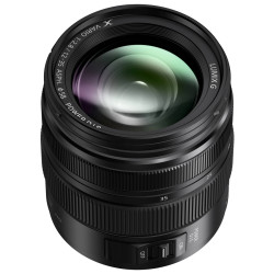 Panasonic HSA12035 - G X Vario 12-35mm F2.8 II