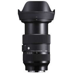 Sigma 24-70mm F2.8 DG DN ART - (e-mount)