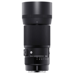 Sigma 105mm F2.8 Macro DG DN ART - (e-mount)